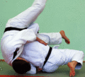Abtaucher06.gif