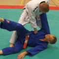 AeussererHueftwurfGTSchaufelwurf03.gif