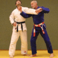 Ohrfeige-AuesseresHueftrad02.gif