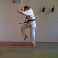 FreierFall01.gif