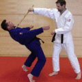 KehlkopfgrubendruckMitDemStock02.gif