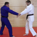 DirekterGegenangriffMitStock01.gif