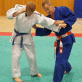 AeussererHueftwurf03.gif