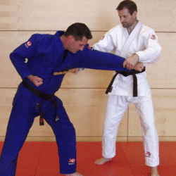 FegenMitDemStock04.gif