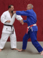 AeussererSchulterwurf01.gif