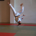 FreierFall04.gif