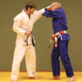 Ohrfeige-AuesseresHueftrad01.gif