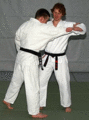 Hueftwurf02.gif