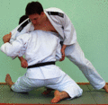 Abtaucher04.gif
