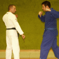 KnoechelwuergeMitDemStock01.gif