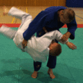 AeussererHueftwurf07.gif