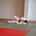 FreierFall06.gif