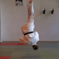 FreierFallFrontal04.gif