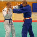 AeussererHueftwurf01.gif