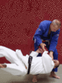 AeussererSchulterwurf05.gif
