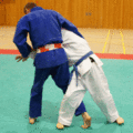 AeussererHueftwurfWFGrosseAussensichel03.gif